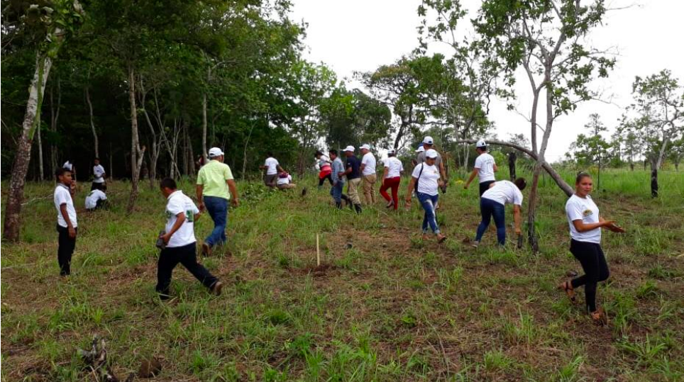 reforesta1